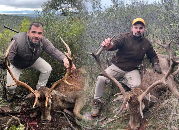 Resultado Montería Sierras de Cijara 3 2026 Lances de Altamira